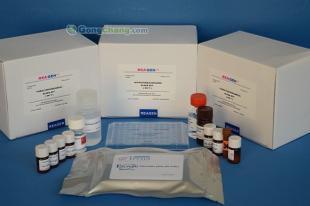 供应呋喃妥因ELISA检测试剂盒 精细化学品领域的精准检测利器
